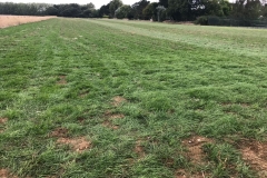GGS19